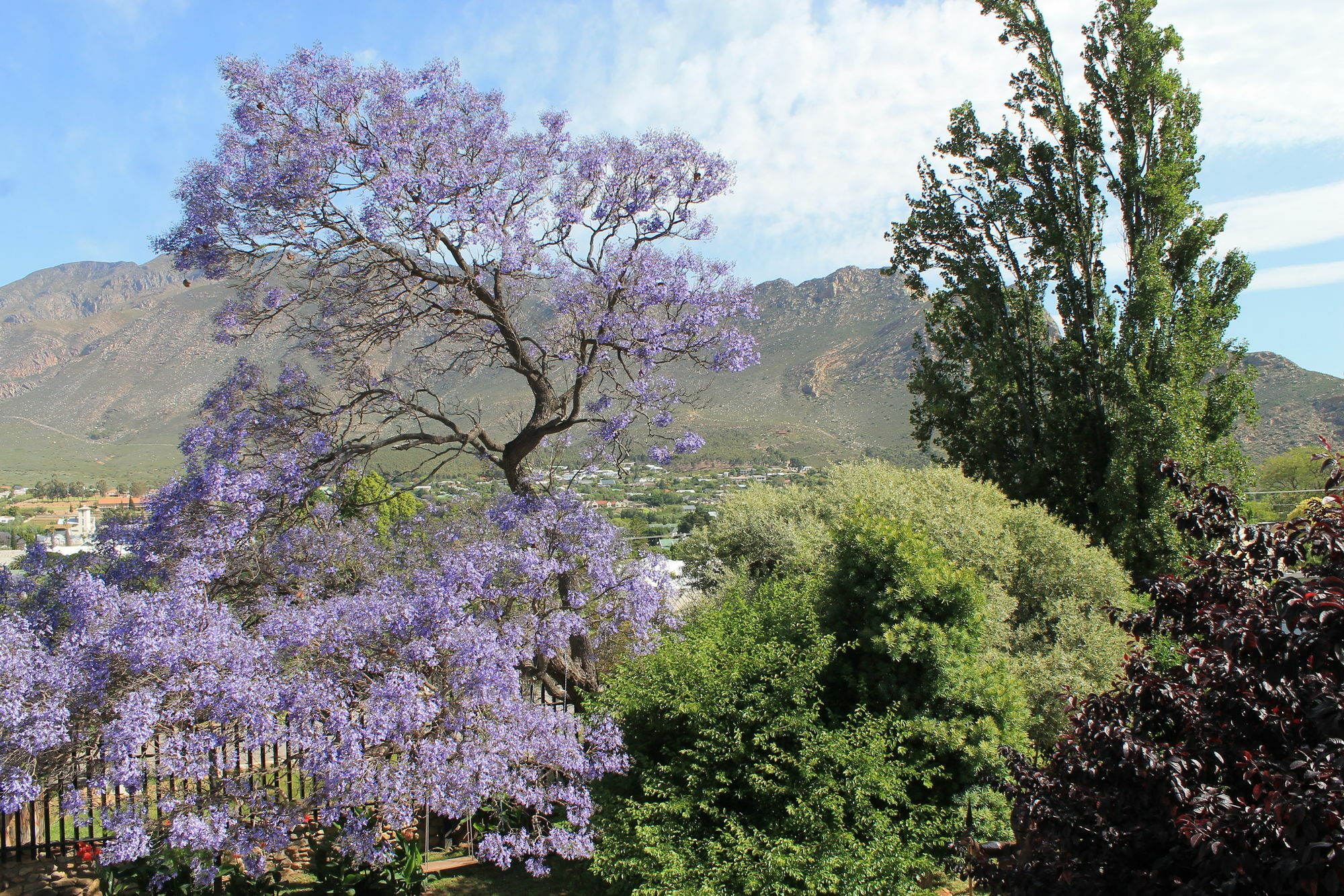 Mountain View Eco Lodge Montagu Exterior photo